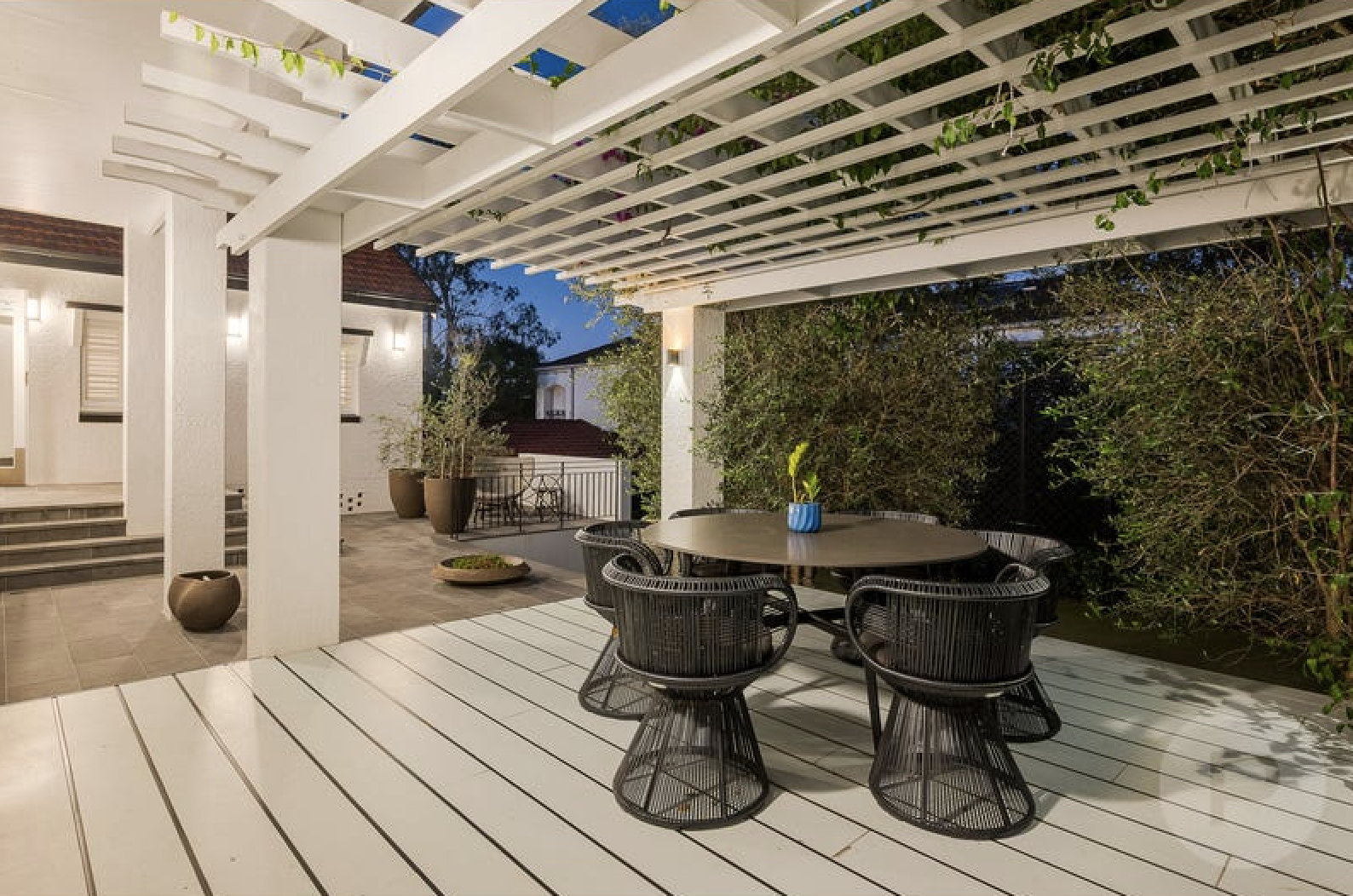 34 Carroll Street backyard